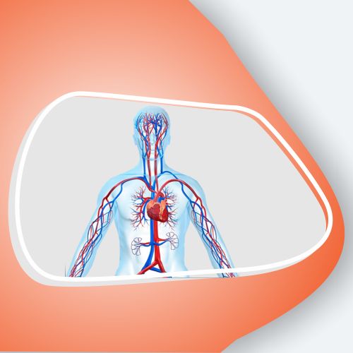 Urologica Treatment in lucknow